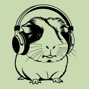 Fejhallgatós tengerimalac pólóminta